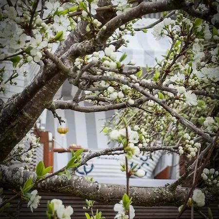 Idyll - Zum Entspannen! Дом отдыха